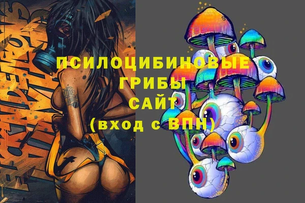 ГАЛЛЮЦИНОГЕННЫЕ ГРИБЫ Верея